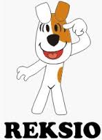 DRKO - Twój partner w Transporcie